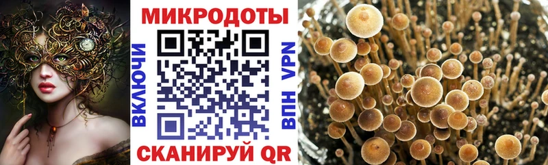 Псилоцибиновые грибы GOLDEN TEACHER Партизанск