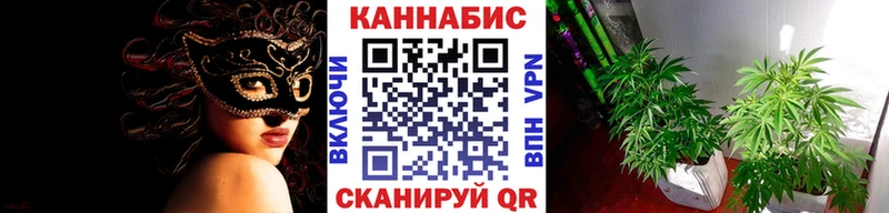Канабис THC 21%  даркнет сайт  Партизанск 